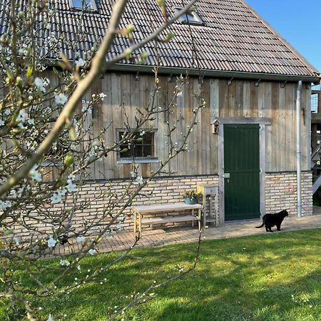 Husterheide Villa Noordbergum Exteriör bild