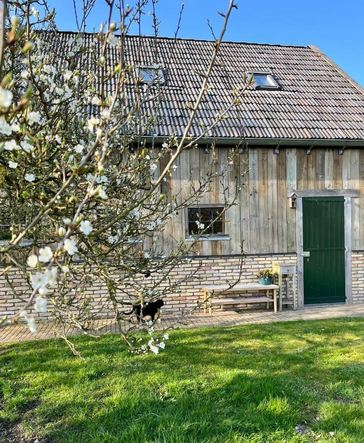 Husterheide Villa Noordbergum Exteriör bild