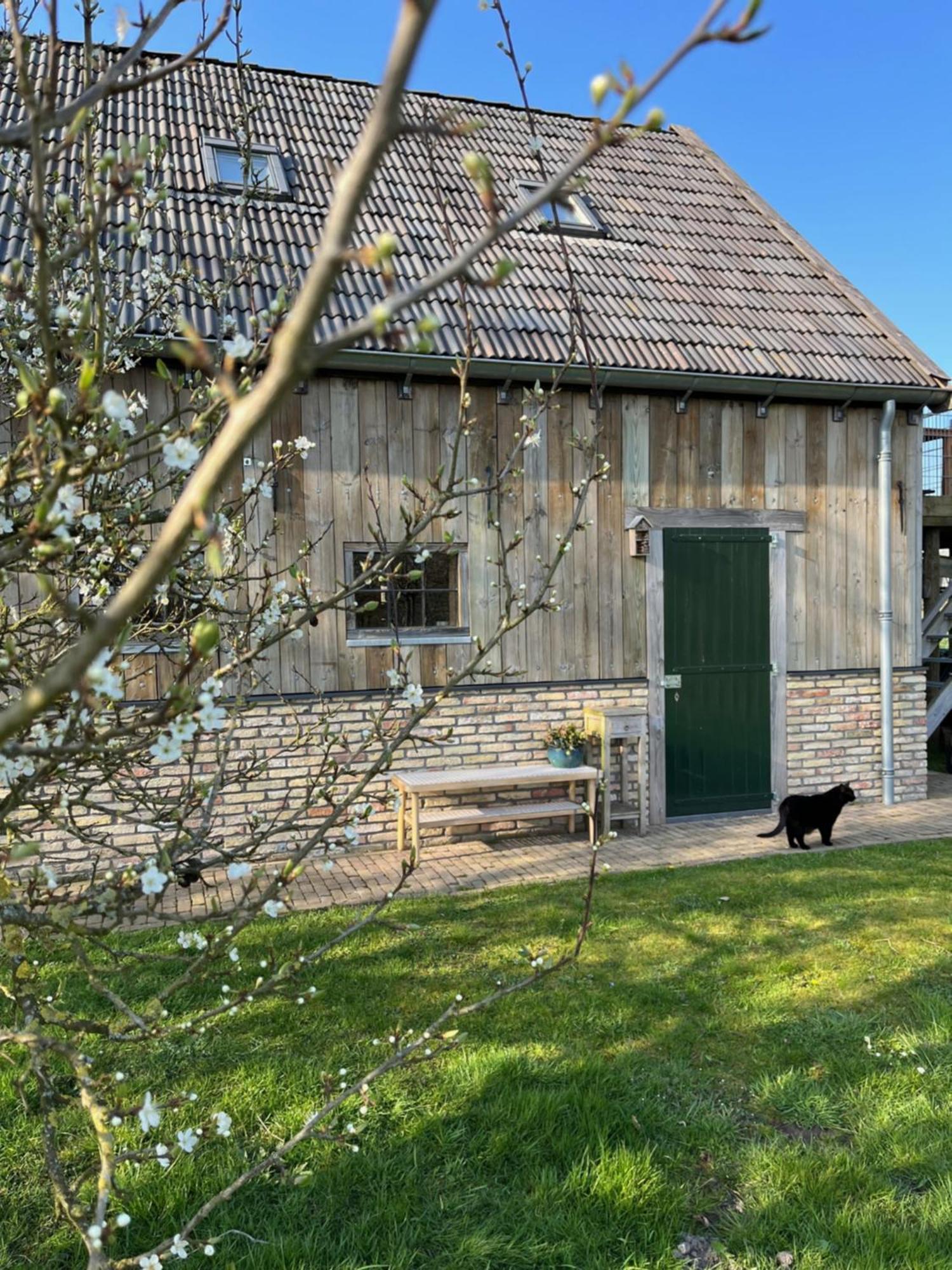 Husterheide Villa Noordbergum Exteriör bild